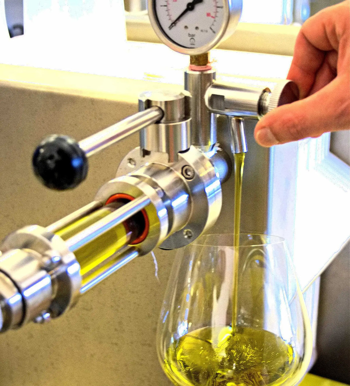 Filtrazione dell'olio extravergine di oliva in fase di produzione